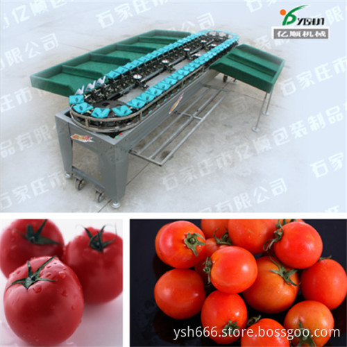 Tomato grading machine factory price YSXS-38-7-50
